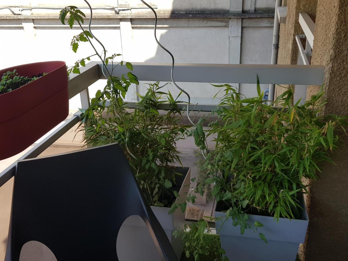 Appartement Compostela